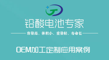 鉛酸蓄電池OEM加工定制...